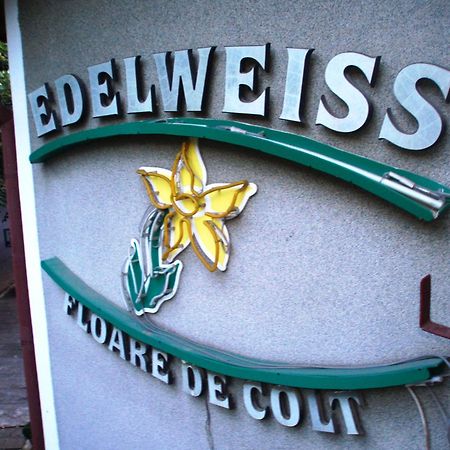 Pension Edelweiss Zewnętrze zdjęcie