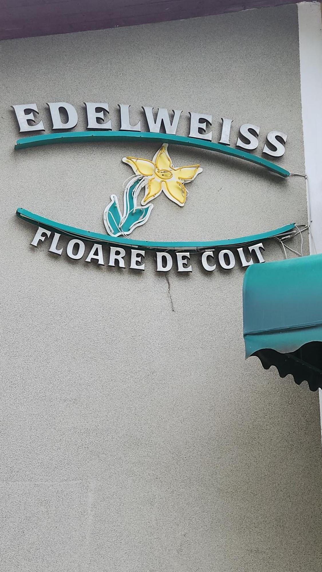 Pension Edelweiss Zewnętrze zdjęcie