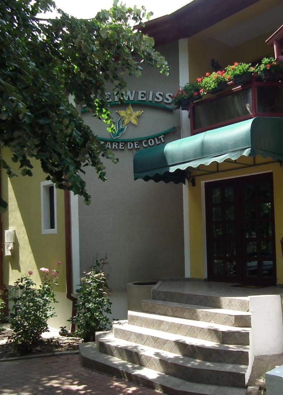 Pension Edelweiss Zewnętrze zdjęcie